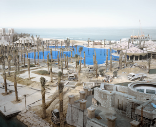 Illustration for article titled Photos of animals wandering a post-human Dubai